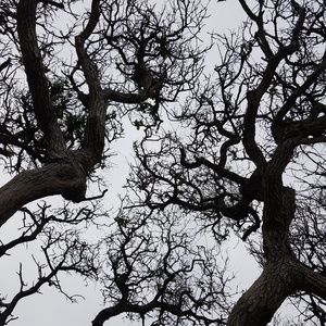 Meet your Posher, Joli